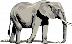 Elephant Clip Art Royalty FREE Animal Images | Animal Clipart Org