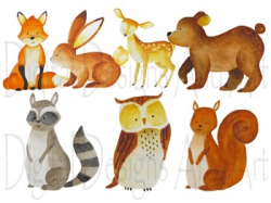 Watercolor forest animals clipart, Woodland Animal clipart, Animals ...