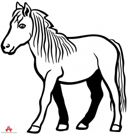 Drawing Outline of Horse in Black and White | Free Clipart Design ...