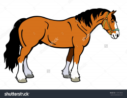Heavy Horse Stock Vectors & Vector Clip Art | Shutterstock | My ...