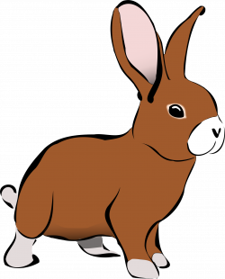 Clipart - Brown Rabbit