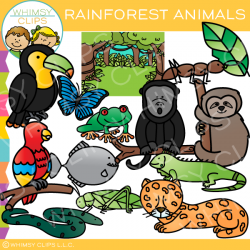 Rainforest Animals Clip Art , Images & Illustrations | Whimsy Clips