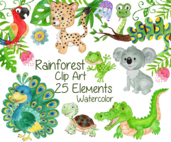 Watercolor animals clipart: RAINFOREST CLIPART