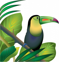 Jungle Plants Clip Art | Rainforest Plants Clip Art Pictures | Birds ...