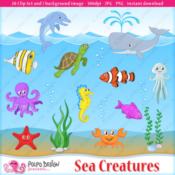 Sea Creatures clipart and 1 background image. Sea creature clipart ...