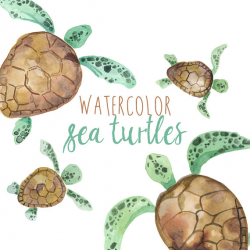 Watercolor Sea Turtles Illustration, Sea Turtle clipart, Turtle clip ...