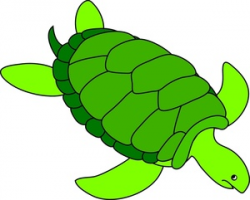 Free Free Turtle Clip Art Image 0515-1004-2703-1312 | Animal Clipart