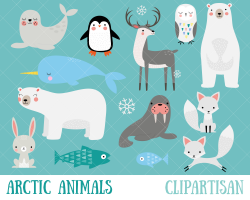 Arctic Animals Clipart Winter Animals Clip Art Polar Bear