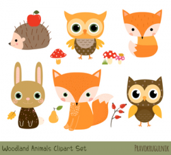 Cute Woodland Animal Clipart, Forest Animal Clip Art Set, Baby Fox ...