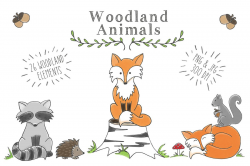 Woodland Animal Clipart Set by Sunny Du | Design Bundles