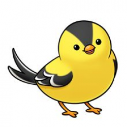 144 best Animals and Birds images on Pinterest | Bird clipart ...