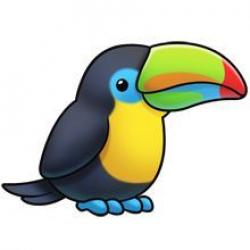 tropical bird … | Pinteres…