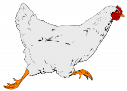 File:Chicken clipart 01.svg - Wikimedia Commons