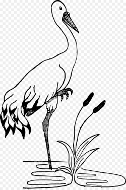 Crane Black and white Drawing Clip art - stork png download - 958 ...