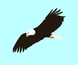 Clipart - Soaring Eagle