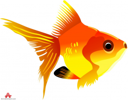 Fish Animals Clipart Gallery | Free Downloads by Animals Clipart
