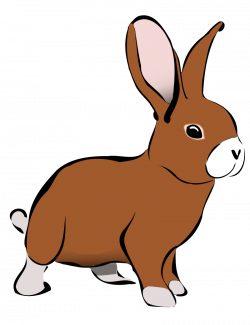 Show Rabbit Clipart