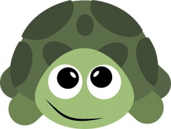 14 best turtles images on Pinterest | Turtles, Tortoises and Turtle