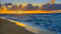 Beach Playa GIF - Find & Share on GIPHY