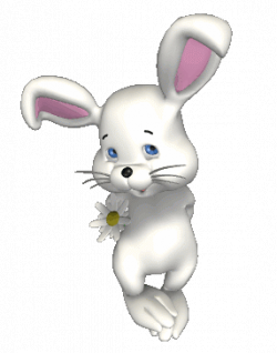Bunny Rabbits Animated Graphics - Animate It!