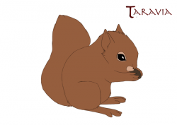 squirrel_by_taravia-d5ygax9.gif (600×426) | Squirrel GIF ...