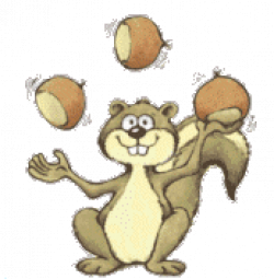 ▷ Squirrels: Animated Images, Gifs, Pictures & Animations - 100% FREE!