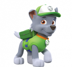 Image - Rocky (PAW Patrol).png | International Entertainment Project ...