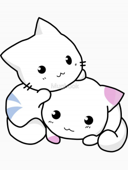 Cute anime kittens