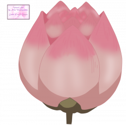 Anime Lotus Flower Gallery - Flower Wallpaper HD
