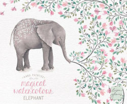 Watercolor elephant: hand painted elephant clipart / nursery art ...