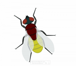 Animals Animated Clipart - Animated Gifs