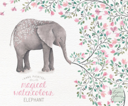 Watercolor elephant: hand painted printable wild animal clipart ...