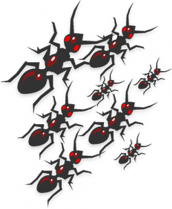 Animated Ants - Ant Clipart - Free