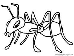 ant clipart black and white ants clipart black and white wallpapers ...