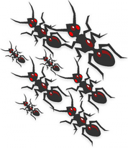 Free Ant Graphics - Ant Clipart - Animations - Images