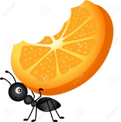 28+ Collection of Ant Carrying Clipart | High quality, free cliparts ...