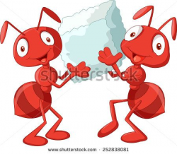 10 best miere images on Pinterest | Ant, Image vector and Ants