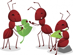 The Ants Go Marching - Kids Environment Kids Health - National ...