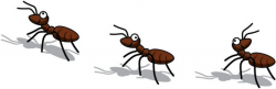 Free Pictures Of Ants For Kids, Download Free Clip Art, Free ...