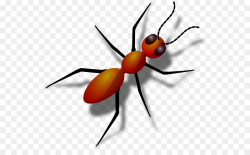 Ant Clip art - Ants Cliparts png download - 600*546 - Free ...