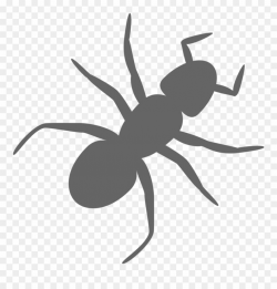 Ant Free Stock Photo - Ant With Transparent Background ...