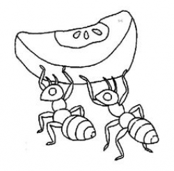 ant coloring pages | Click to Print Ants with Sandwich Coloring Page ...