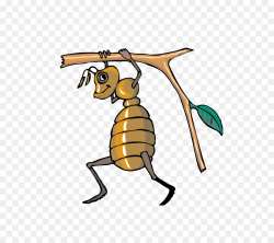 Honey bee Ant Clip art - Ants png download - 800*800 - Free ...