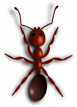 Fire Ant Clip Art at Clker.com - vector clip art online, royalty ...