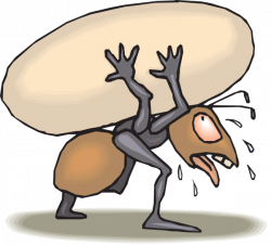 Ant Carrying Egg Clip Art at Clker.com - vector clip art online ...