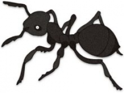 Free Ant Clipart science clipart