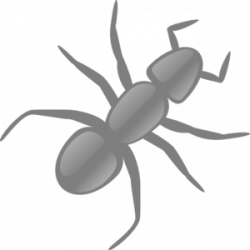 Gray Ant Clip Art at Clker.com - vector clip art online, royalty ...