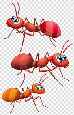 Three red and brown ants illustration, Ant , ant transparent ...