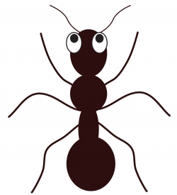 Wonderful Of Line Of Ants Clipart - Letter Master