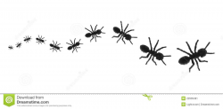 Line Of Ants Clipart | Letters Format